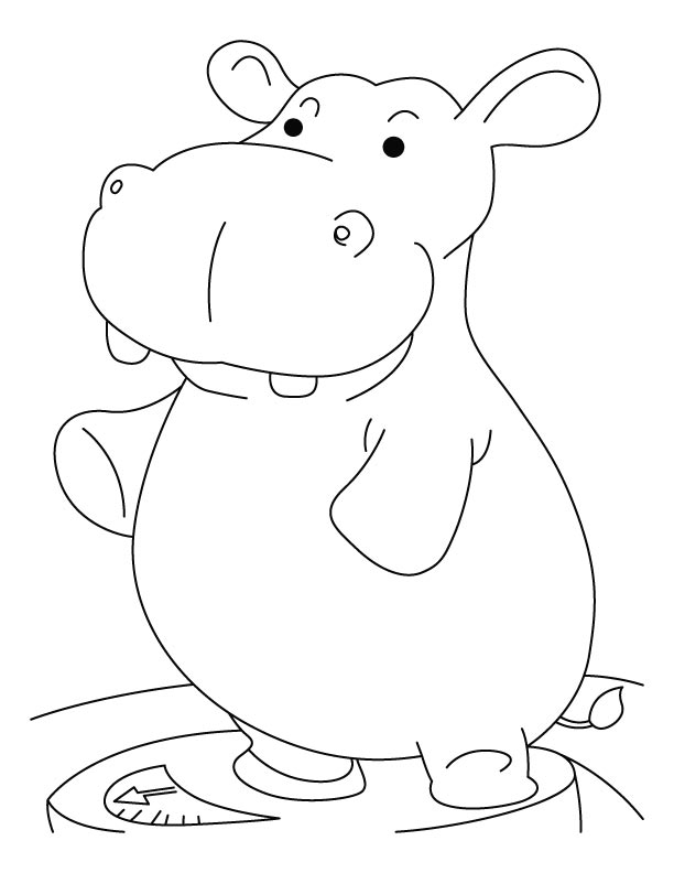 h is for hippo coloring pages - photo #44