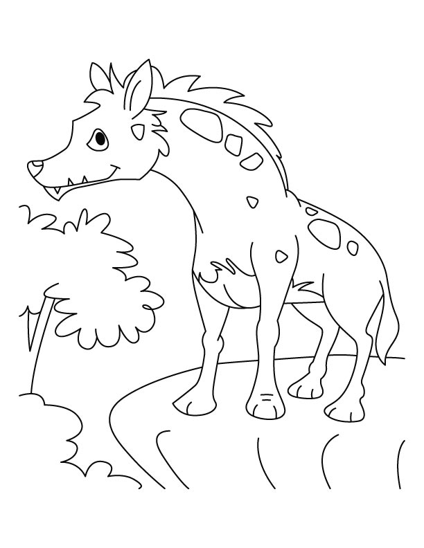 Howling jackal coloring pages