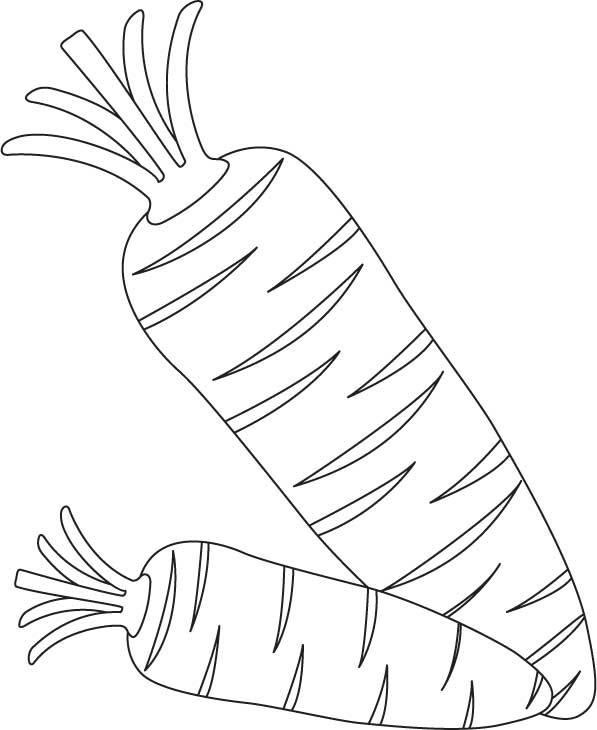Juicy fresh two carrots coloring page