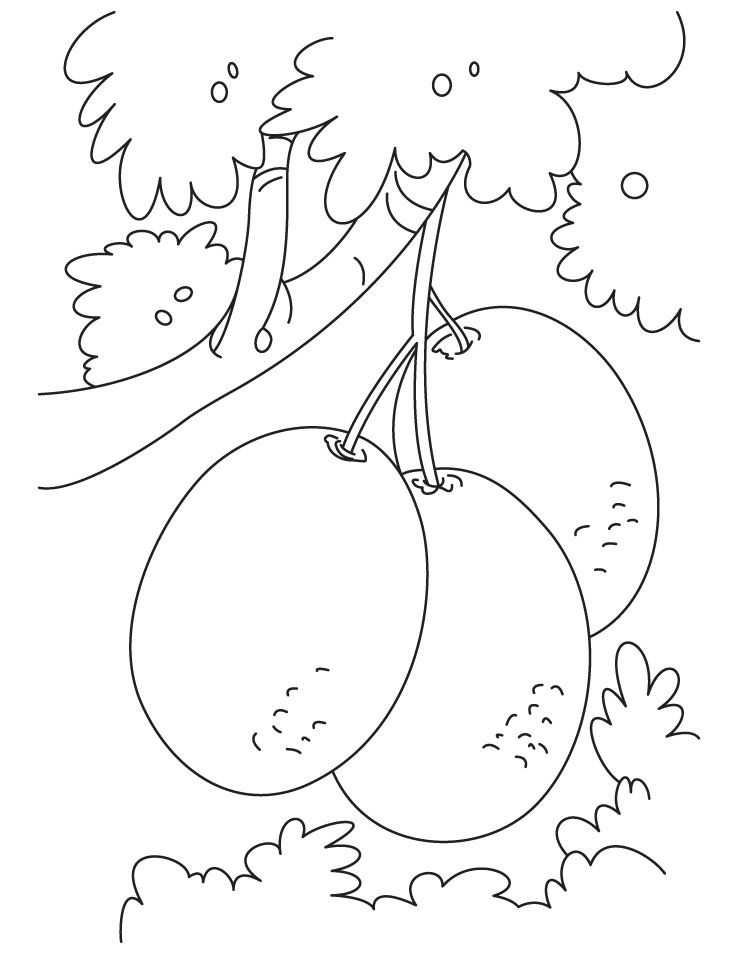 Bunch of kiwi fruit coloring pages