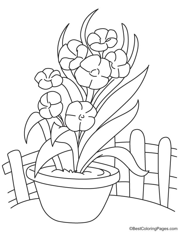 Long orchid flower vase coloring page