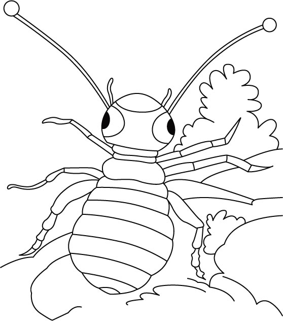 Louse roams loose coloring pages | Download Free Louse roams loose