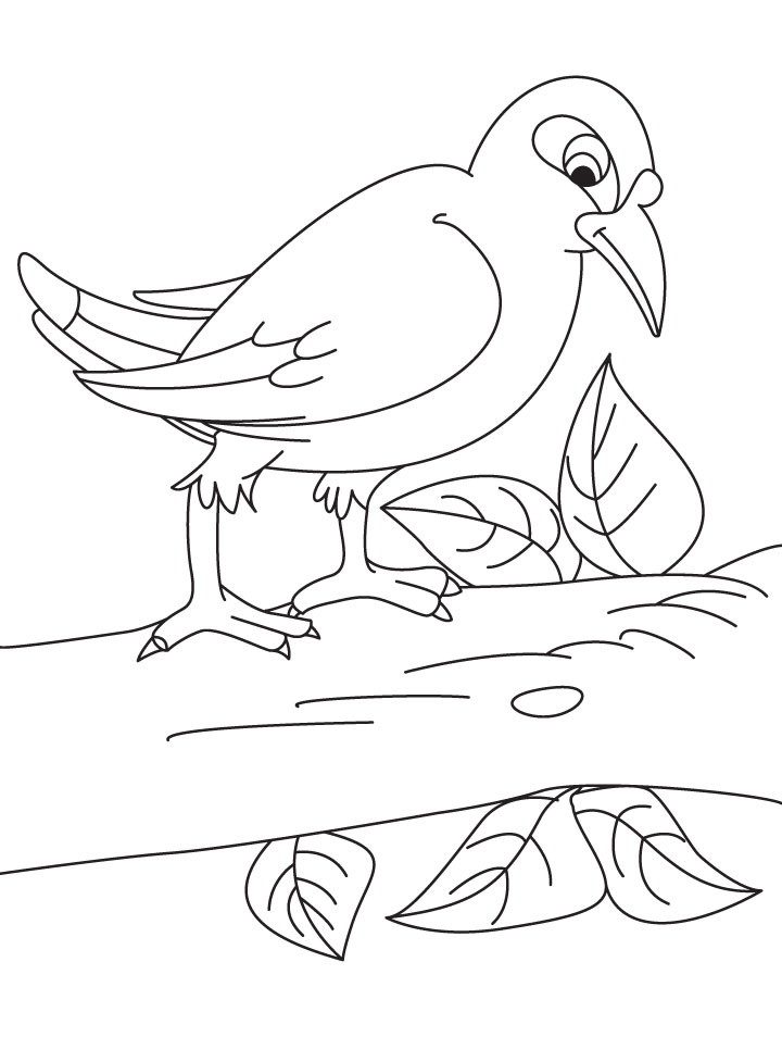 A myna bird is sitting on the branch coloring page