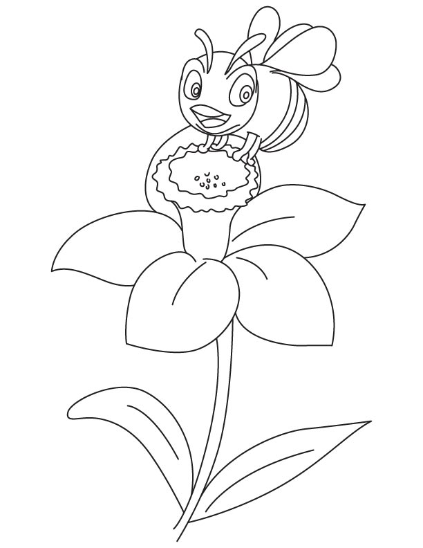 Narcissus honeybee coloring page