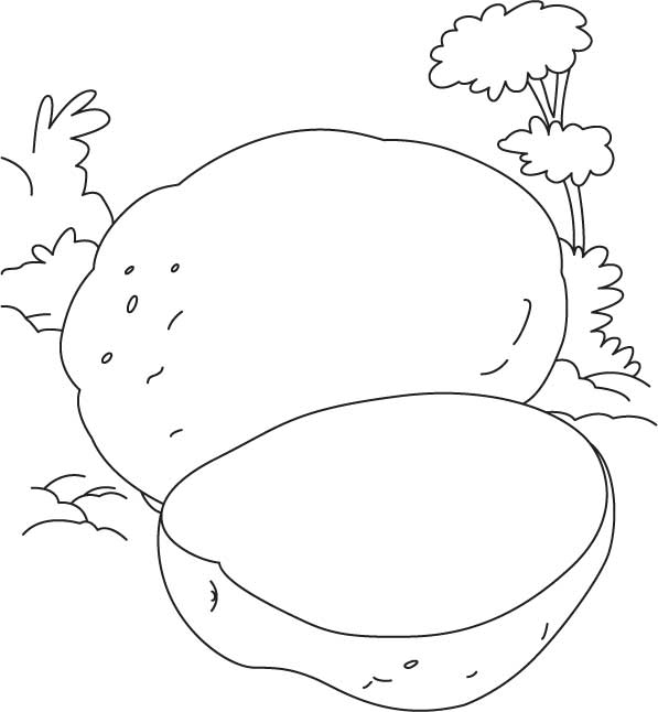 One and half potato coloring page