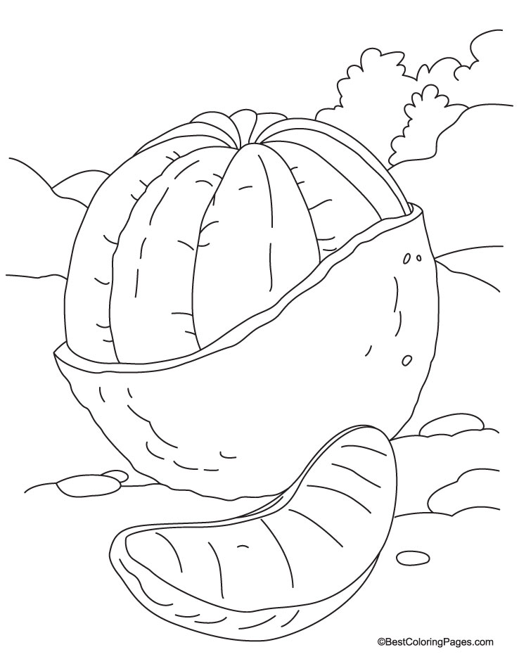Peeled Ornage and slice coloring page