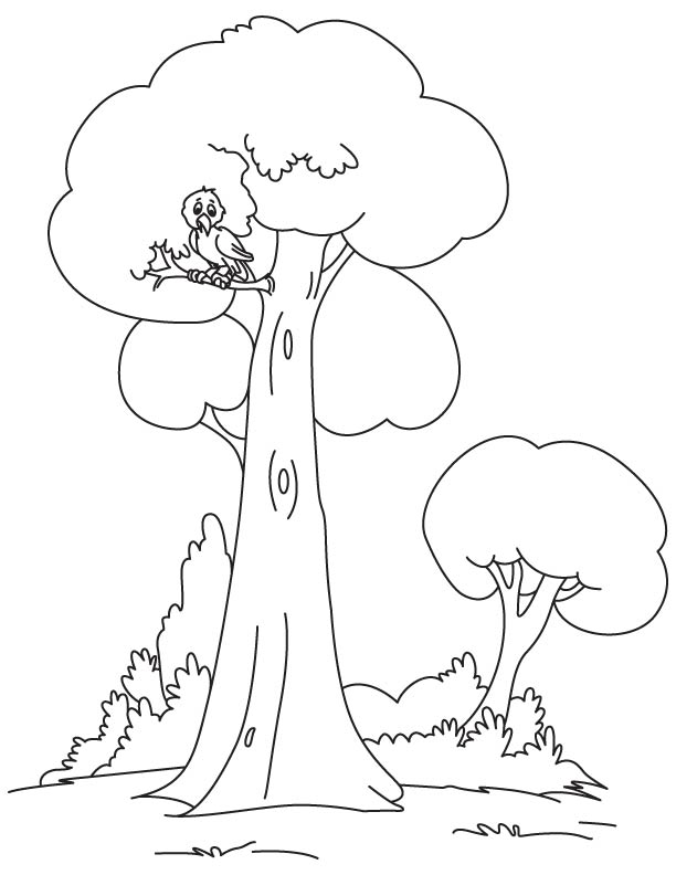 Owl sitting on a tree coloring page