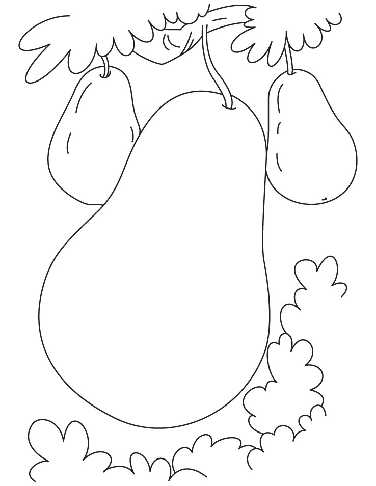 Big and small pear coloring pages | Download Free Big and small pear