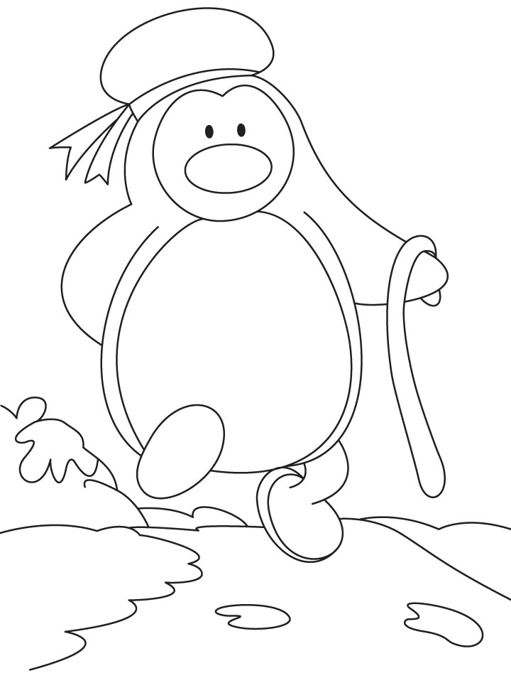 Penguin wearing a cap coloring page