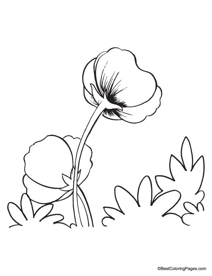 coloring pages remembrance day poppies - photo #30