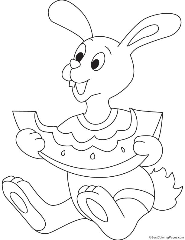 Rabbit eating watermelon coloring page