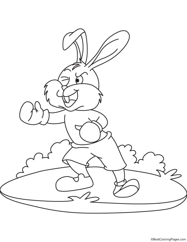 Rabbit practice boxing coloring page