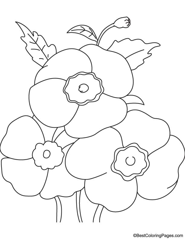 Red poppies coloring page