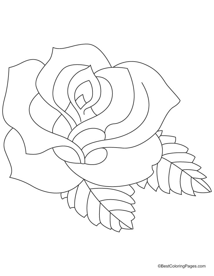 a rose coloring pages - photo #28