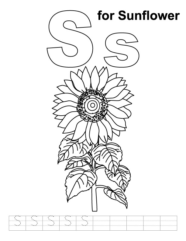 S for sunflower coloring page with handwriting practice