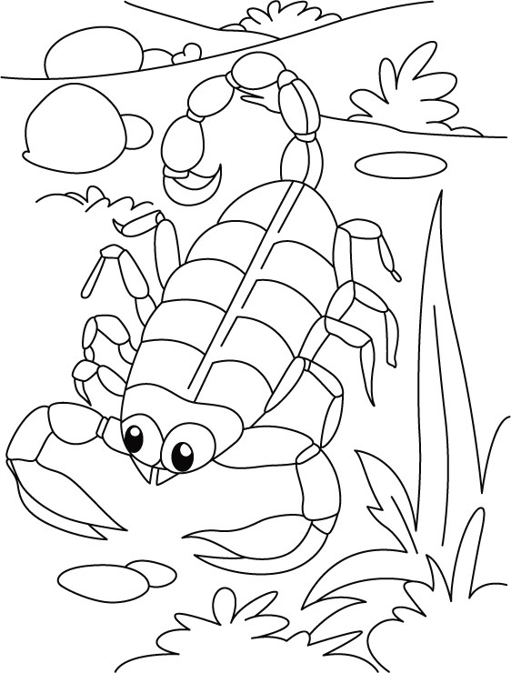 Serpentine scorpion coloring pages