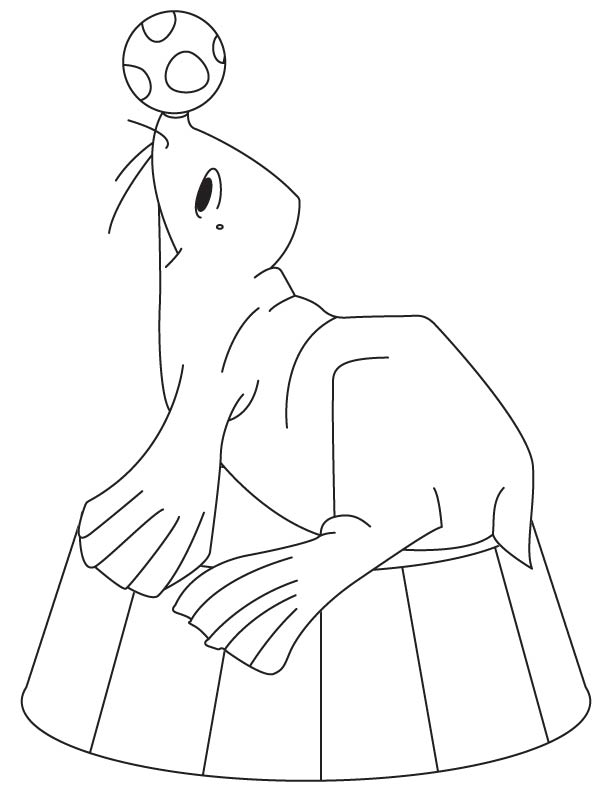 Seal showing circus coloring page