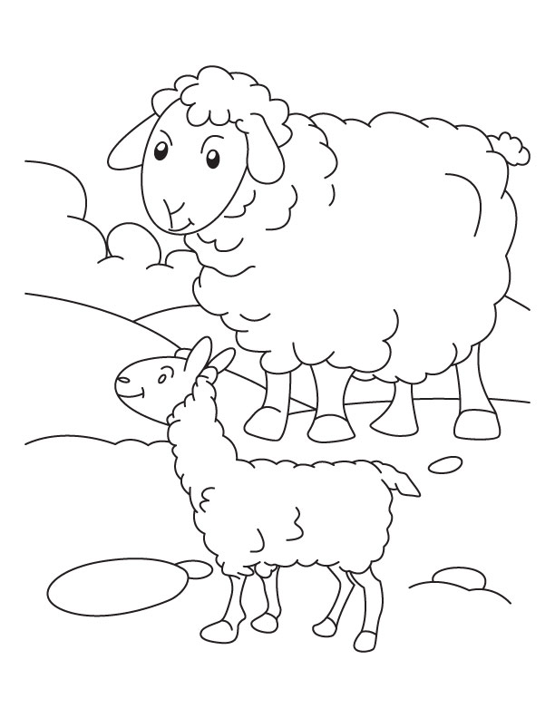 Mother sheep with its lamb coloring page