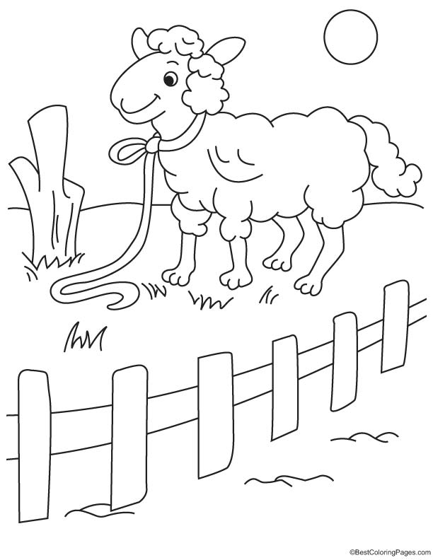 Sheep in fence coloring page