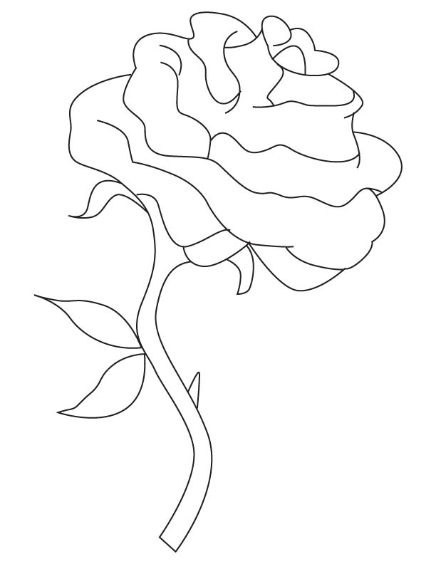 Single rose coloring page   Download Free Single rose coloring page for ...