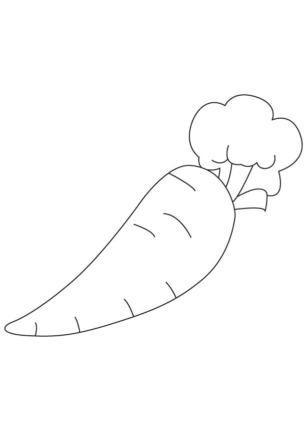 Small carrot coloring page