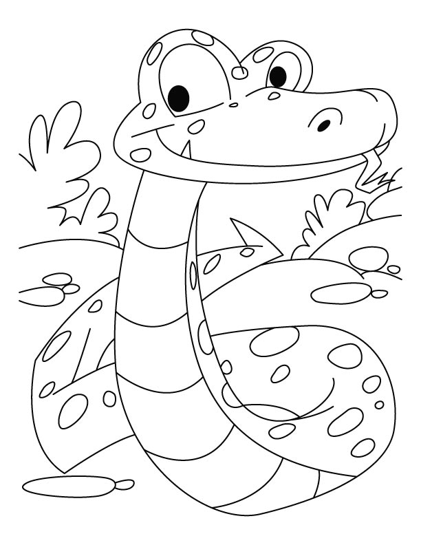 Snake looking at its prey coloring pages