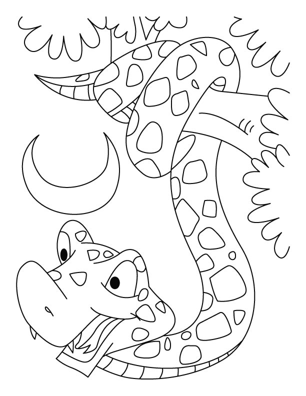 Year of the snake coloring pages