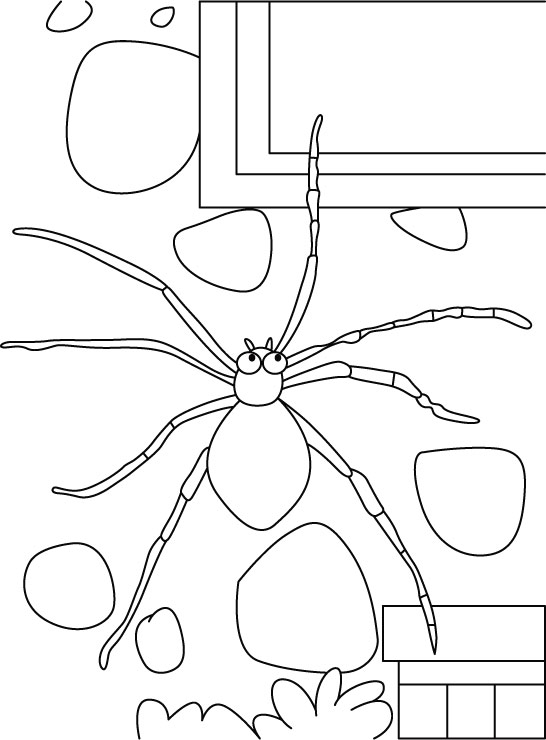 Spider-the ruler coloring pages