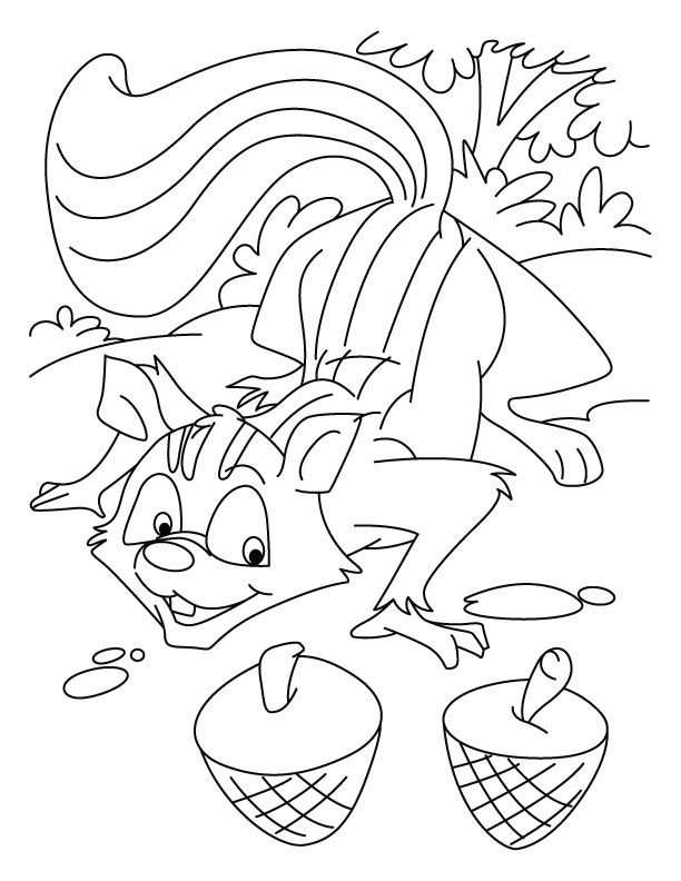 Squirrel looking at the nuts coloring pages