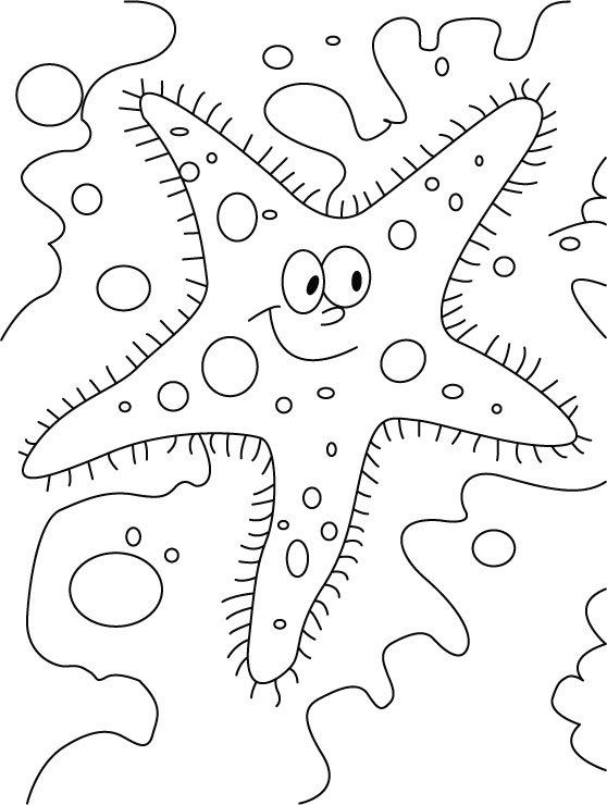 Glaring starfish coloring pages
