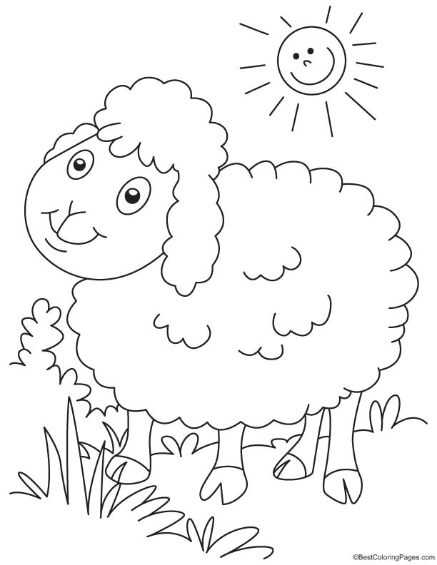 Sun bathing sheep coloring page