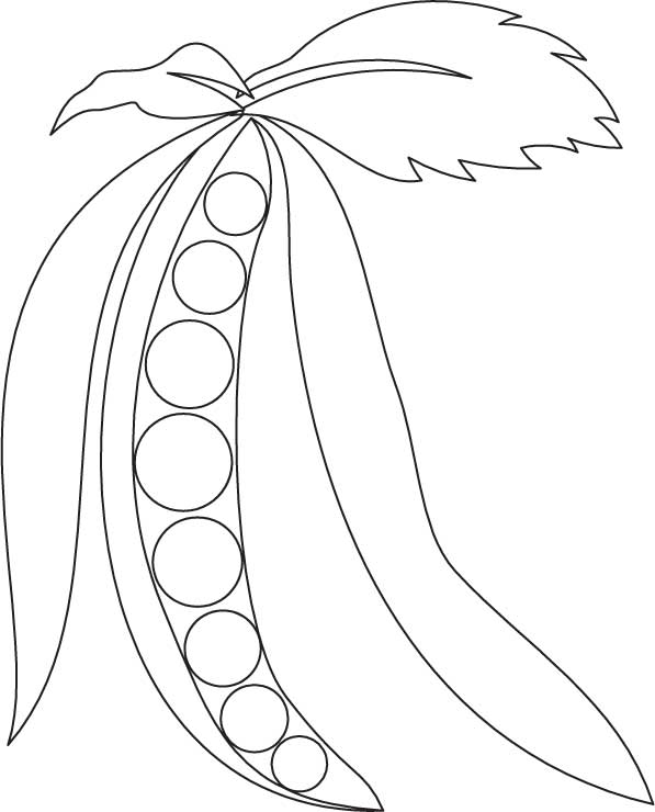 Sweet peas coloring page