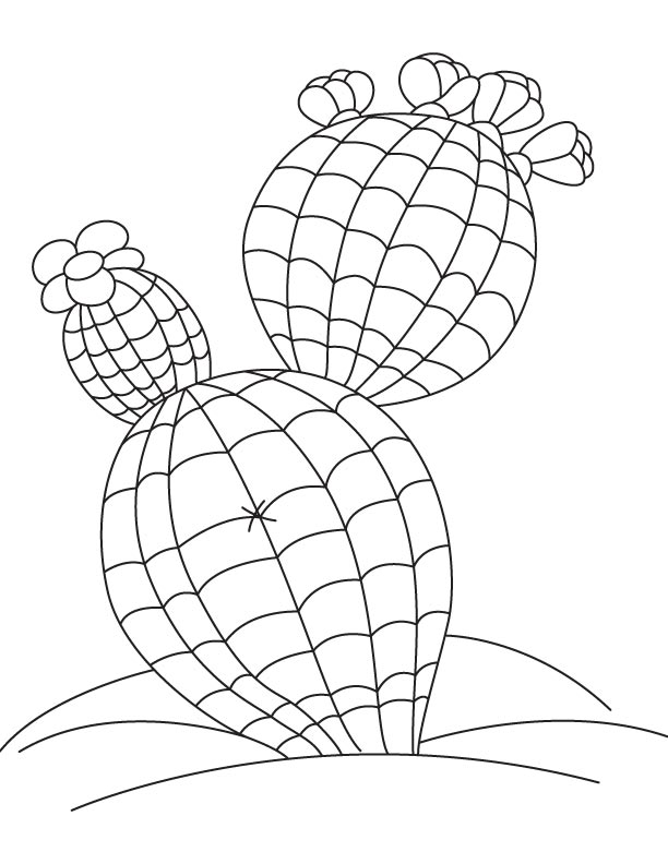 Tall cactus coloring page