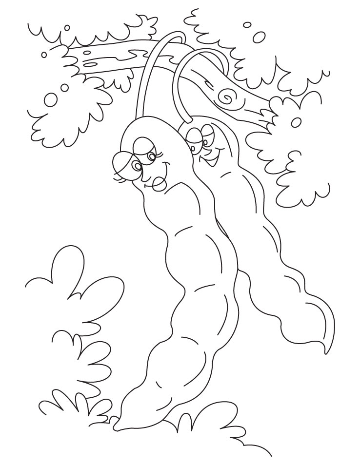 Sweet tamarind coloring pages