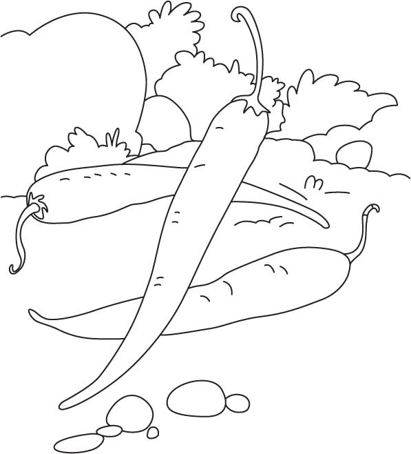 Three chillies in the field coloring page