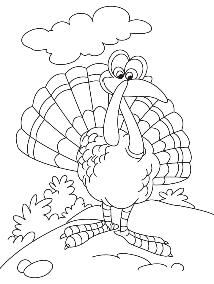Thanksgiving turkey coloring page | Download Free Thanksgiving turkey