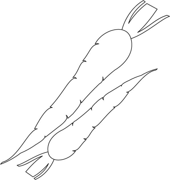 Two carrot coloring page
