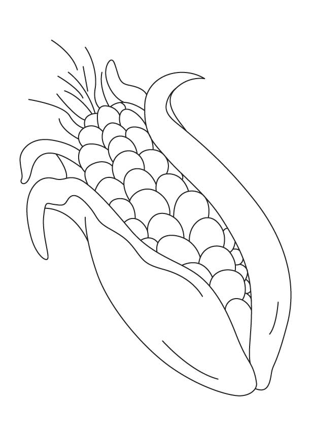 Very sweet corn coloring pages