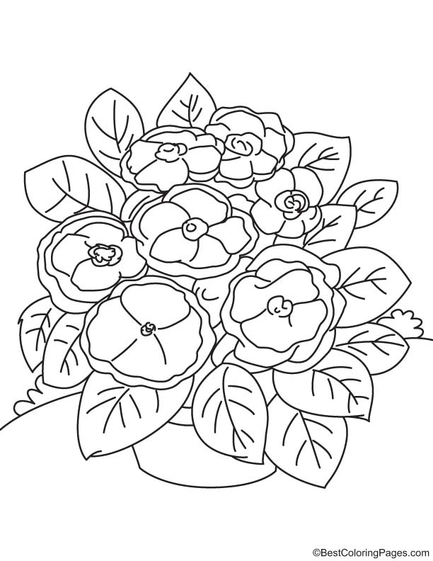 Violet in pot coloring page