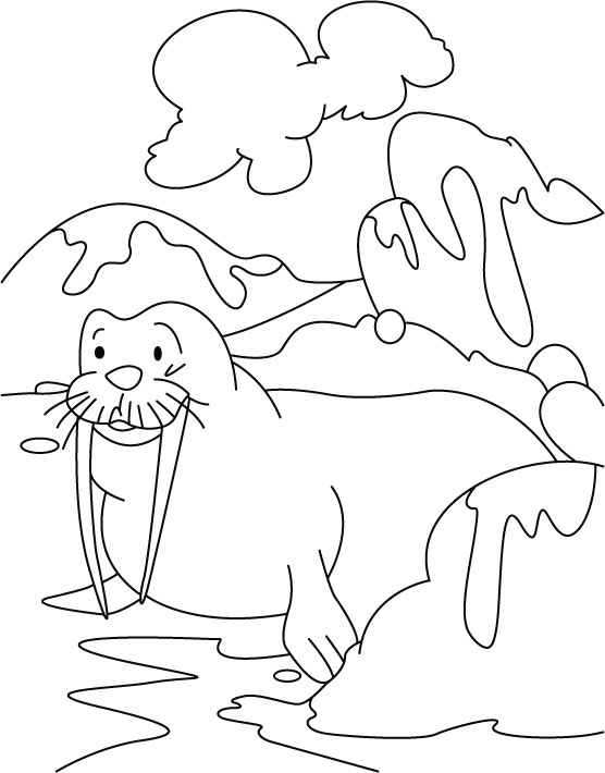 Walrus-the seahorse coloring pages
