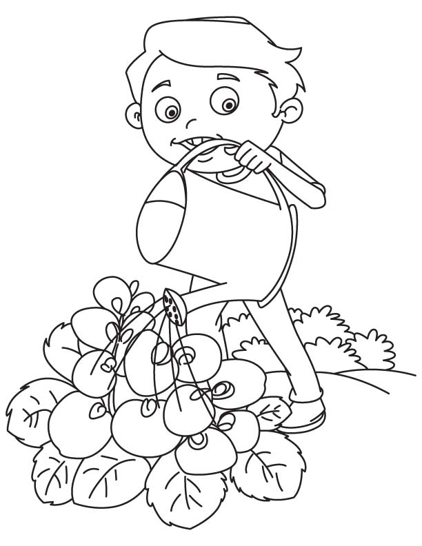 Watering sweet pea coloring page