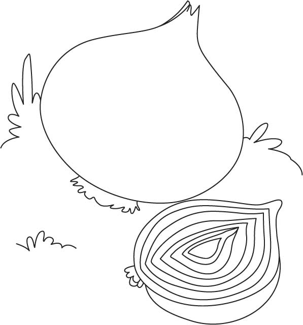 White onion coloring page