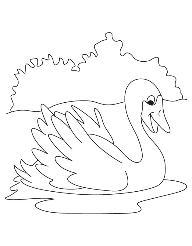 White swan coloring page