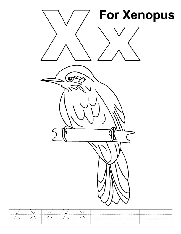 X for xenopus coloring page with handwriting practice