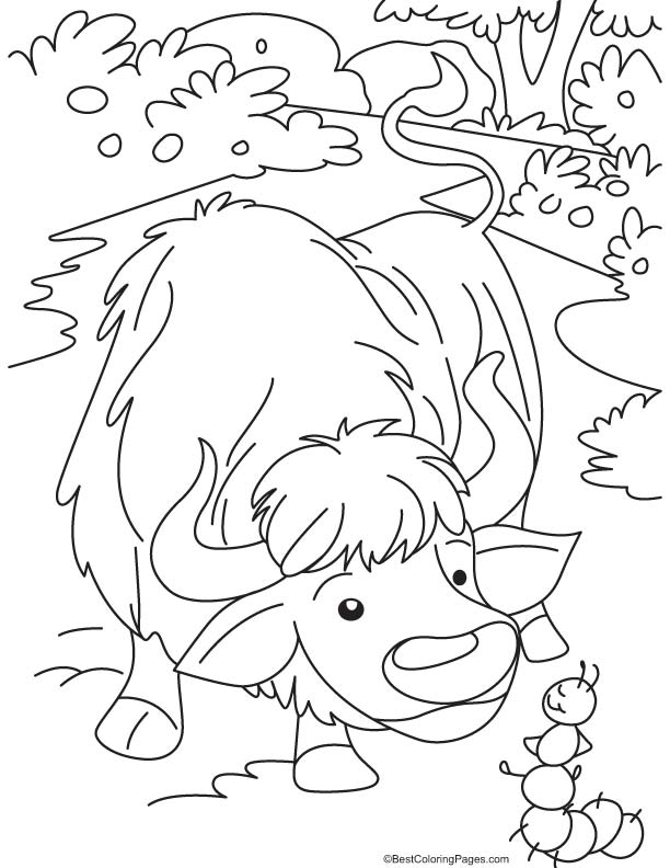 Yak and ant coloring page