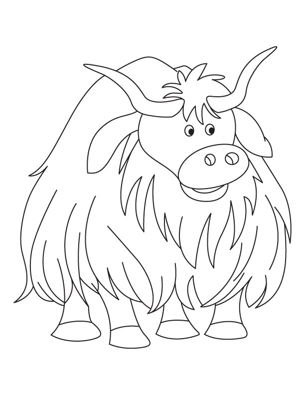 446 Cute Yak Coloring Page for Kids