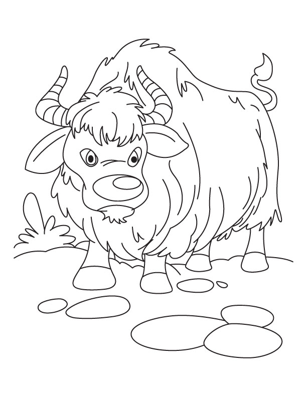 Growling yak coloring pages