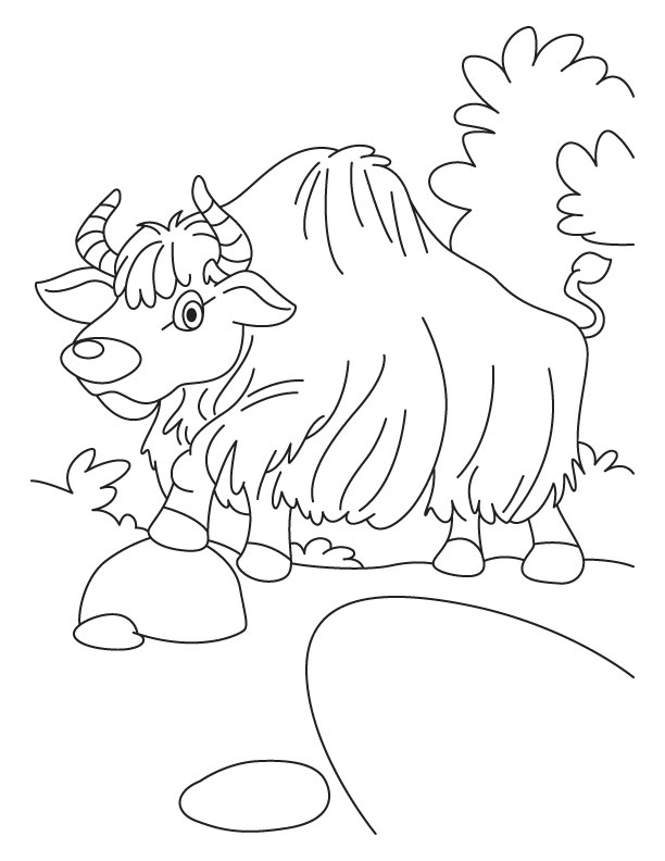 Yak on a walk coloring pages | Download Free Yak on a walk coloring