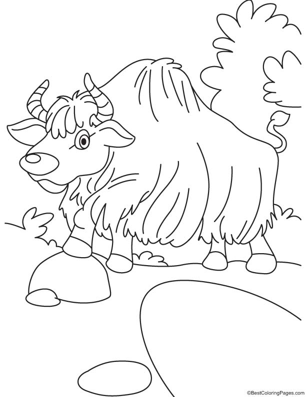 Yak on walk coloring page