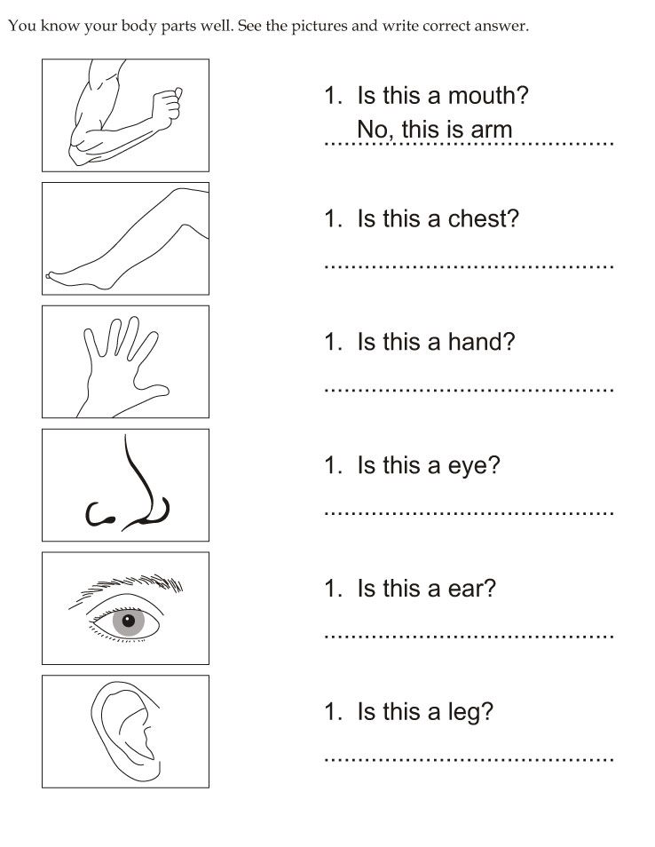 You know your body parts well see the pictures and write correct answer